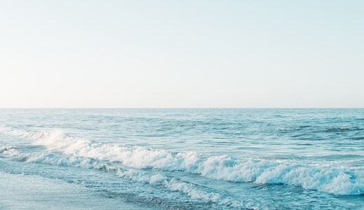 4大認知症とは？現役看護師が特徴をわかりやすく解説